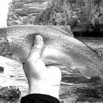 09 августа 32 (960) 2024