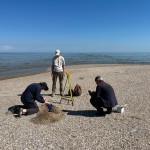 20 сентября 38 (966) 2024