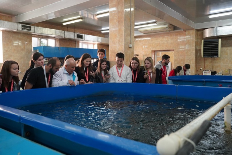 h02zsz1m4as2ljq67ckfkytpdei1aj0a