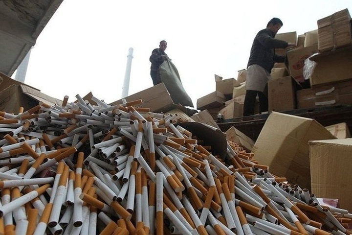 65ec61656b9d7a4f29903f0d226f5641