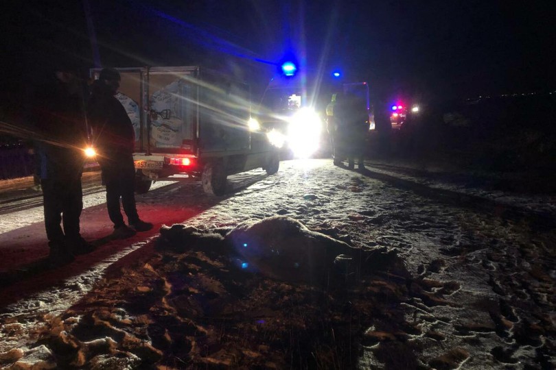 d11e38f85d3b581_1280x854