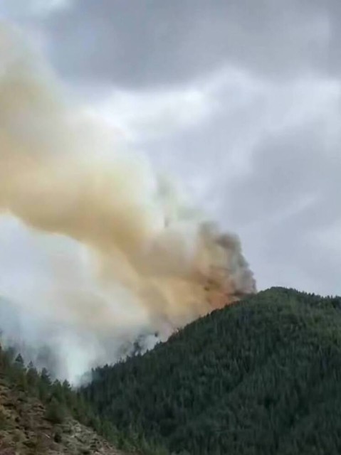 178454c1008403beb7cf27c76c40e686