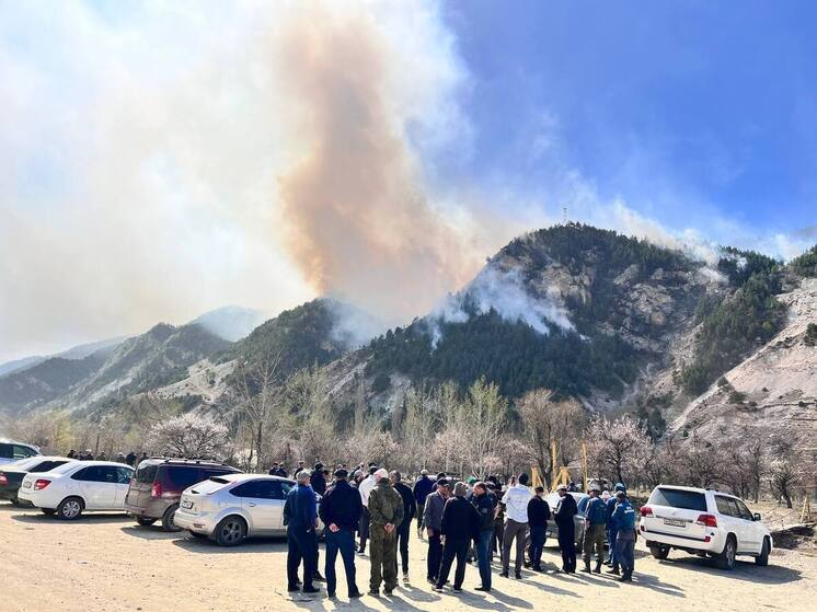 6e167f360f9af6510c7cd6a9e628705b