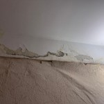 Обязанности управляющей компании Новости