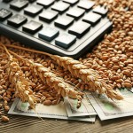 Поддельные декларации Новости