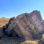 Угасшие жизни Новости