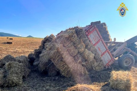 photo_2025-06-09_17-34-11_c94