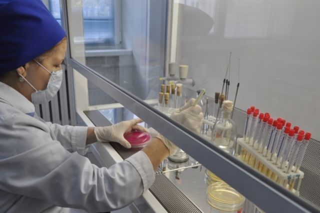 981621b9326041209268d48710bed0e9