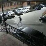 Нападение на бойца Новости