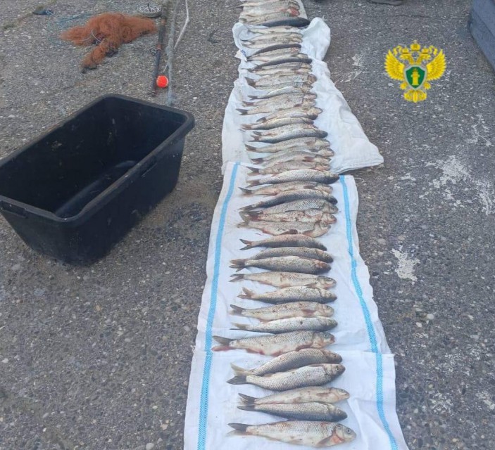 uqlyf8oy0qgolz7d6m451e5obg0ttnd4