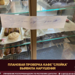 Последствия проверки Новости