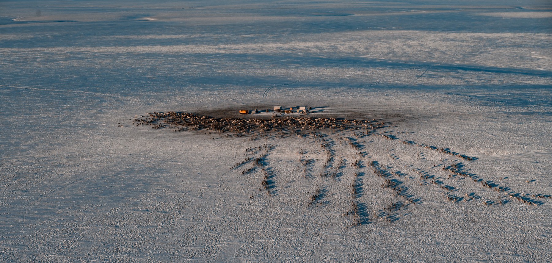 фото Андрей Сорокин. ЯСИА (2)