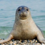 31 октября 44(1024) 2025