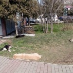 28 ноября 48 (1028) 2025