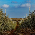 08 декабря 49 (1029) 2025