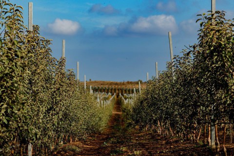 08 декабря 49 (1029) 2025