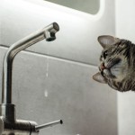 Избербаш без воды Новости