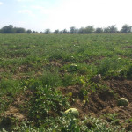 Фото к тексту_РИА Дагестан