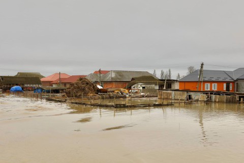 03 Апреля 14 (1046) 2026